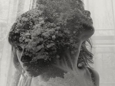 Artwork Title: Untitled