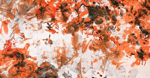 Artwork Title: 《Convergence of thousand kinds red 》《千红一窟》