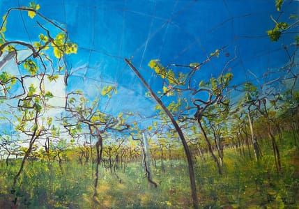 Artwork Title: Vine