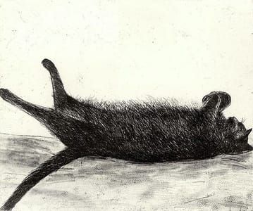 Artwork Title: Amelia Sleeping
