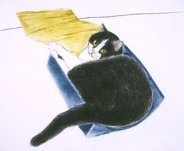 Artwork Title: Fred in a Box