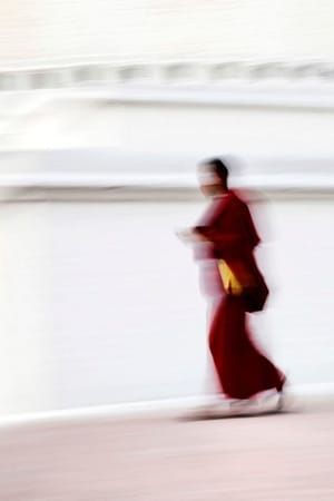 Artwork Title: The Monk