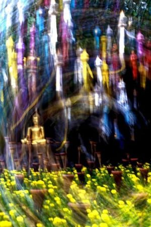 Artwork Title: Elevation De Bouddha