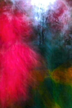 Artwork Title: Shangri La