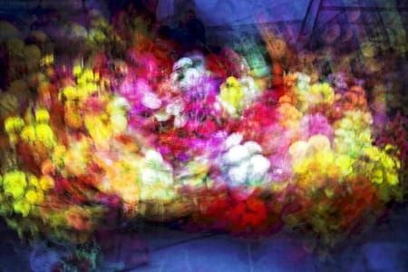 Artwork Title: Flaurs De Plastique