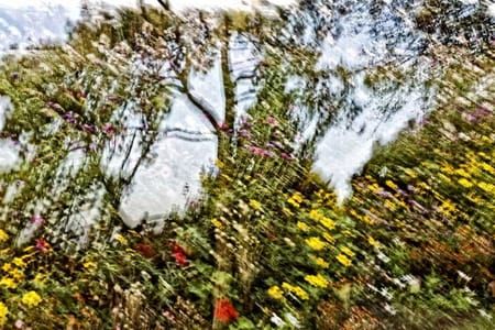 Artwork Title: Impressioniste De Printemps