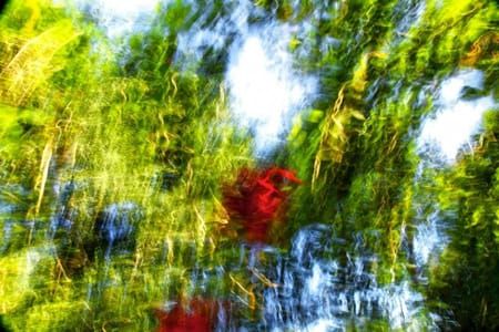 Artwork Title: Couleur De Jungle