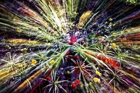 Artwork Title: Feu D'Artifice