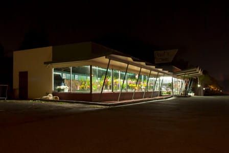 Artwork Title: Pauls Flower Colma California