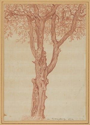 Artwork Title: Study of a Tree