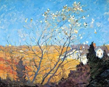 Artwork Title: Silver Maple, Ogunquit