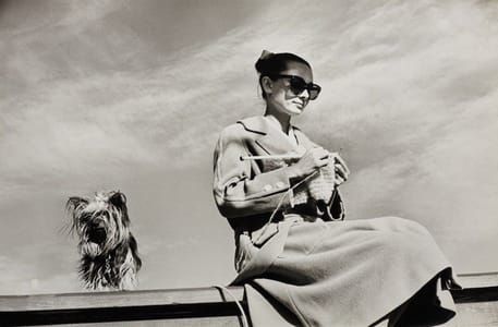 Artwork Title: Audrey Hepburn photographed with Mr. Famous by Inge Morath in Durango (Mexico), during a break in th