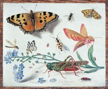 Artwork Title: Untitled