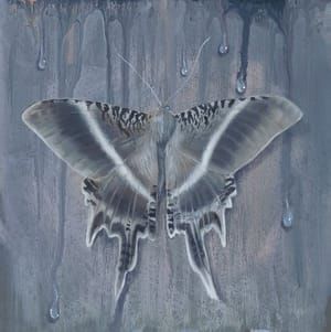 Artwork Title: Moth #2