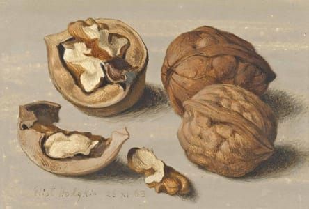 Artwork Title: Walnuts
