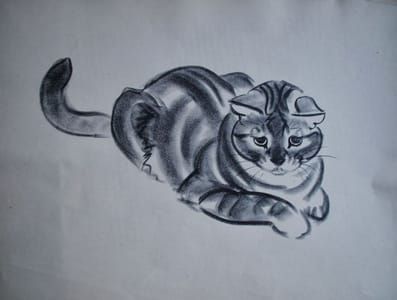 Artwork Title: Illustration from Marshmallow
