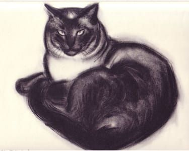 Artwork Title: Malo, Illustrations from Cats & Kittens, a Portfolio