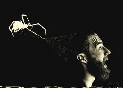 Artwork Title: Ensnared