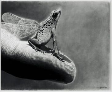 Artwork Title: Untitled
