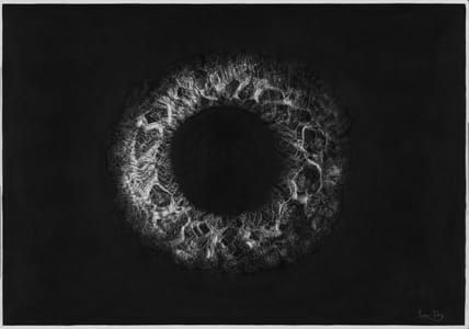 Artwork Title: Ouroboros