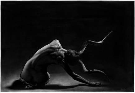 Artwork Title: To Be Tamed