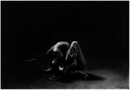 Artwork Title: Untitled