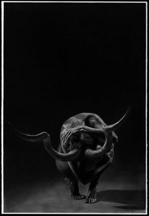 Artwork Title: Exposed
