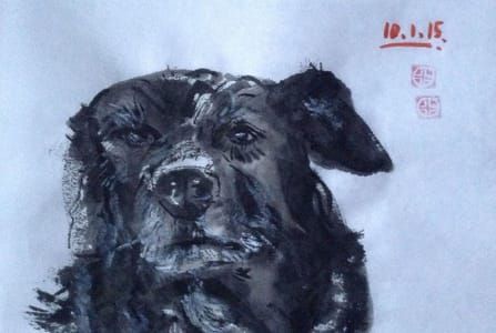 Artwork Title: Old Dog