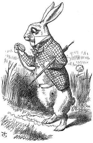 Artwork Title: The White Rabbit