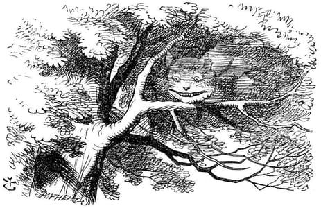 Artwork Title: The Disappearing Cheshire Cat