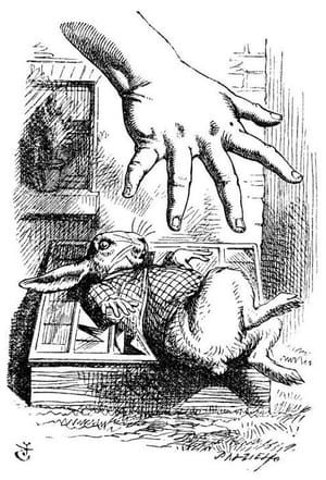 Artwork Title: Alice Dropping the White Rabbit