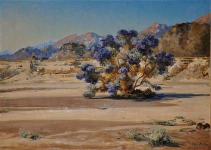 Artwork Title: Smoketree