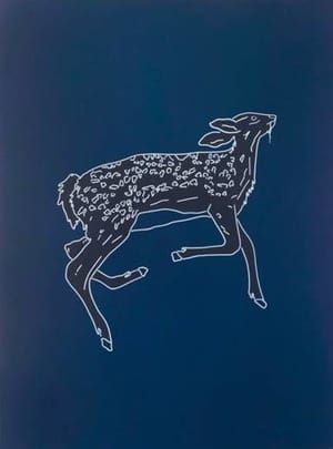 Artwork Title: Wounded Doe