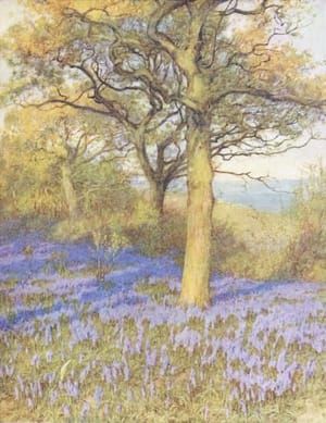Artwork Title: Spring in the Oakwood