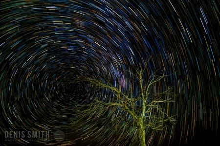 Artwork Title: Free Style