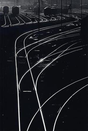 Artwork Title: Weichen