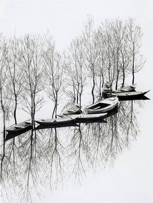 Artwork Title: Untitled