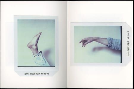 Artwork Title: Antonio de Luca