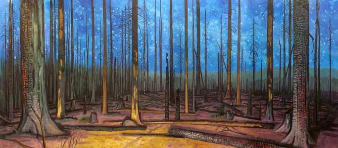 Artwork Title: Burn (Cascade Creek Fire, Mt. Adams WA)