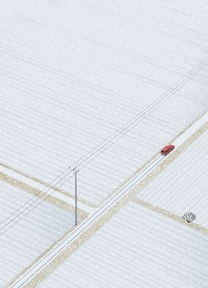 Artwork Title: The First Snow