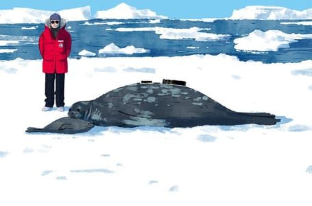 Artwork Title: Seals, Whales and Penguins