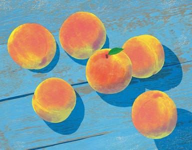 Artwork Title: Deep Run Roots: Peaches