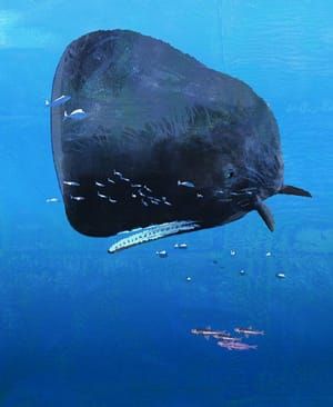 Artwork Title: Seals, Whales and Penguins