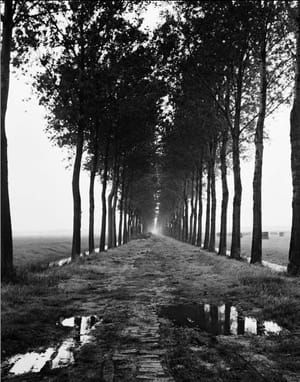 Artwork Title: Untitled