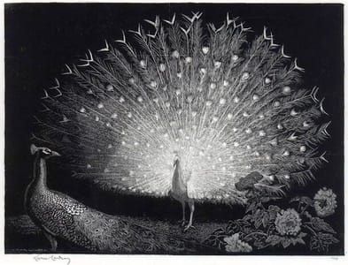 Artwork Title: The White Fan