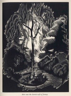 Artwork Title: Illustration from Consider The Lilies