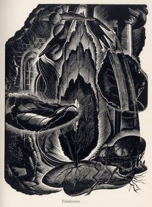 Artwork Title: Timelessness... Illustration from Consider The Lilies