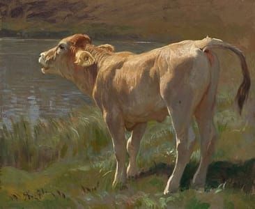 Artwork Title: Calf,