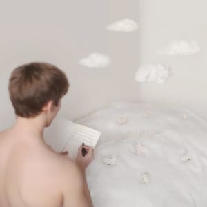 Artwork Title: Counting Sheep
