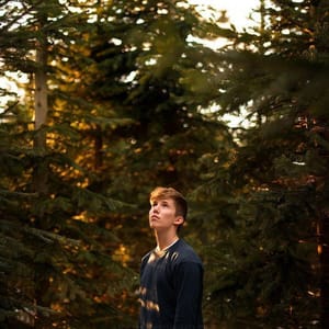 Artwork Title: Golden Hour